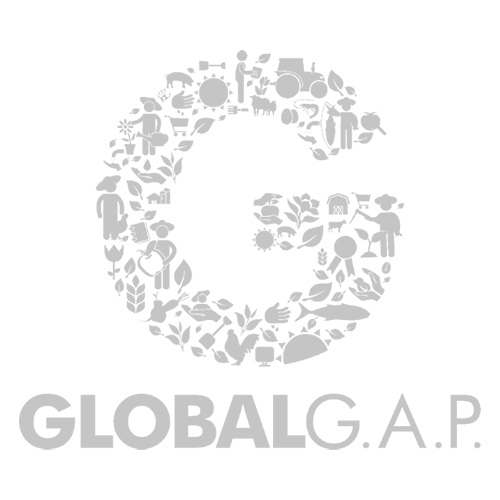citricoscuevas-certificacion-globalgap-trans-g